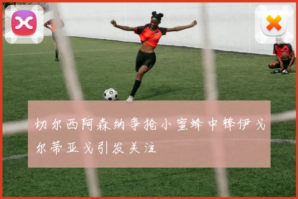 切尔西阿森纳争抢小蜜蜂中锋伊戈尔蒂亚戈引发关注
